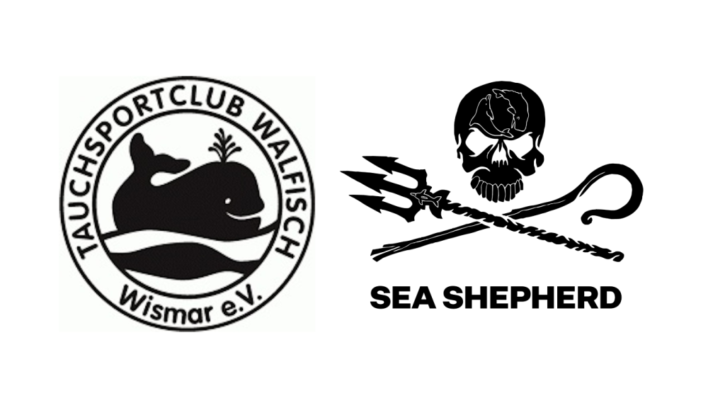 Tauchclub Walfisch Wismar Sea Sheppard Logo Tauchclub Walfisch Wismar Sea Sheppard